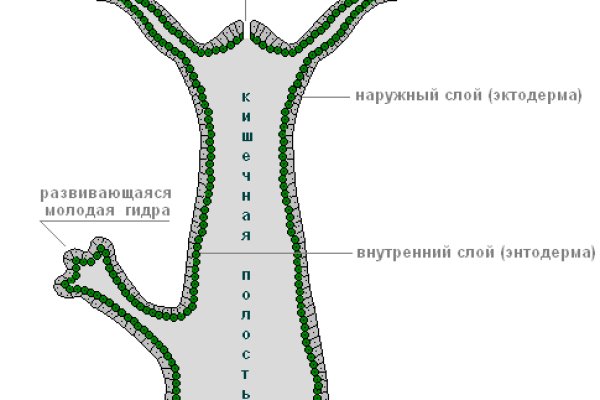 Ссылки на кракен блэкспрут