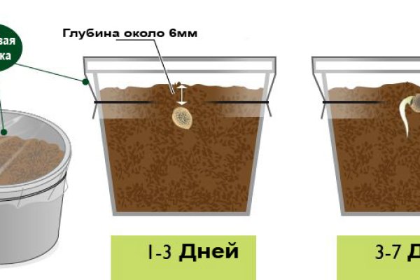 Кракен маркет онион