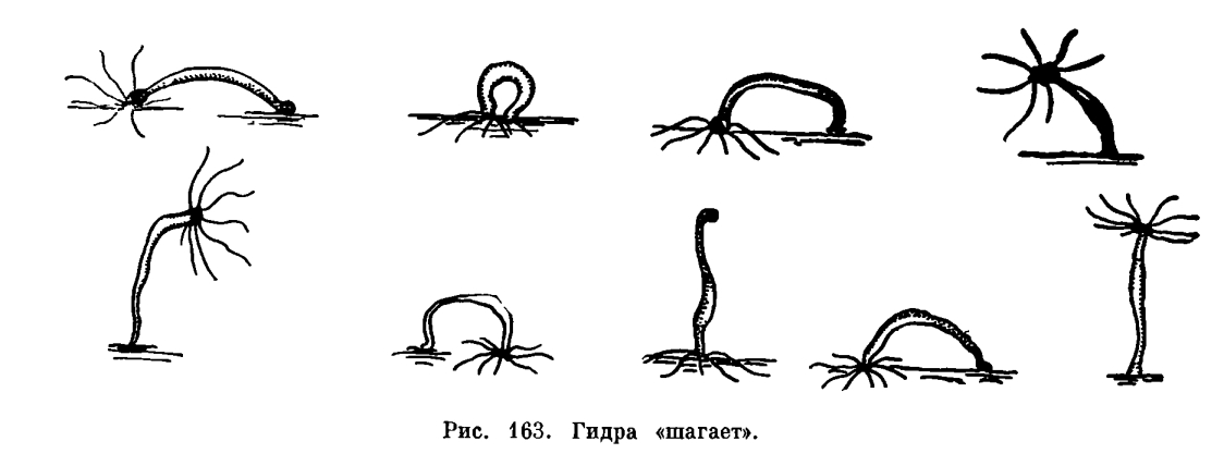 Kraken дарк магазин